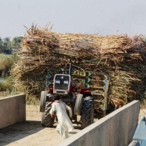 Sugar Industries